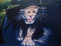 PANTHER.JPG