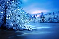 IMG_8536.jpg