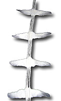 SIIVET.jpg