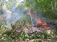 ahvensaari05_raivausjatteen_polttoa_wwf_jari_luukkonen.jpg