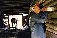 tapion-vuosi.jpg